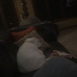 Meet your Posher, Trey